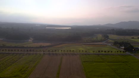 High-above-aerial-flight-above-rural-road-with-rows-of-trees-next-to-farm-fields-during-sunset
