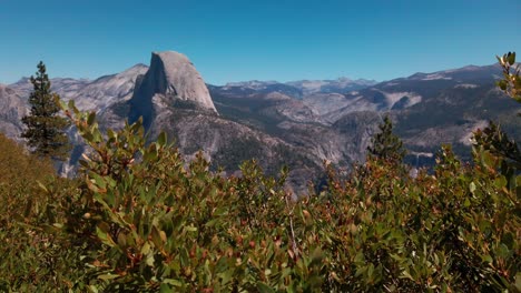 Slow-panning-shot-from-plants-to-Half-Dome-and-Yosemite-Valley-from-Glacier-Point