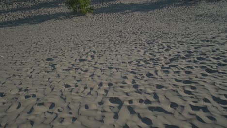 Langsamer-Schwenk-Von-Der-Sanddüne-Zu-Den-Bäumen-Und-Dem-Himmel-In-Sandbänken,-Ontario