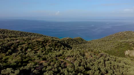 Grüne-Terrassen-Mit-Olivenbäumen-Am-Rande-Von-Hügeln,-Umgeben-Von-Einem-Endlosen-Blauen-Ionischen-Meer