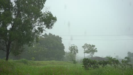 heavy-rain-in-village-green-trees-and-grass