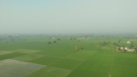 Amazing-aerial-view-of-the-well-organized-agricultural-land-divided-by-the-express-highway-in-Punjab-province,-INDIA