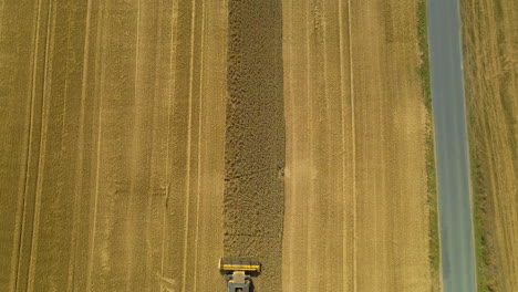A-Tractor-Harvesting-Golden-Crops-In-The-Field-In-Kielno,-Poland---ascending-top-down-shot