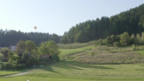 Flock-of-birds-flying-with-paraglider-in-background,-lush-green-field