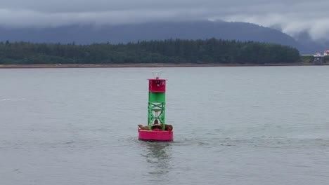 View-of-navigational-buoy-with-sea-lions-on-it,-bobbing-up-and-down-in-the-ocean-in-Juneau,-Alaska