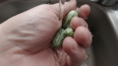 Male-hands-washing-homegrown-miniature-cucamelon-exotic-unusual-vegetable-over-sink