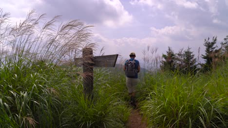 Male-hiker-walking-through-tall-grass-towards-sign-on-hiking-path-on-bright-and-sunny-day