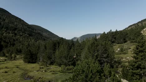 Aerial-view-ascending-from-the-plain-to-see-all-the-forest-in-front-of-it-in-La-Cerdanya,-Catalunya