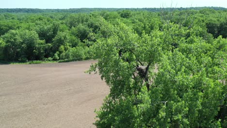 plowed-farm-land-surrounded-by-trees-filmed-from-a-aerial-view
