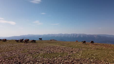 Cima-De-La-Montaña-Con-Caballos-Comiendo-Hierba