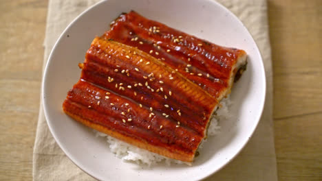 Japanese-eel-grilled-with-rice-bowl-or-Unagi-don---Japanese-food-style