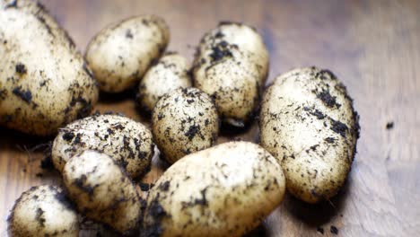 Homegrown-organic-potatoes-shallow-focus-covered-in-soil-on-wooden-kitchen-surface-top-down-left-dolly-slow