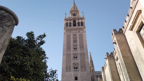 Slow-Slide-Right,-Giralda-Bell-Tower-at-Seville-Cathedral-with-Blue-Sky,-Spain