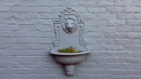 Grey-wall-with-lion-head-flower-pot,-no-persons