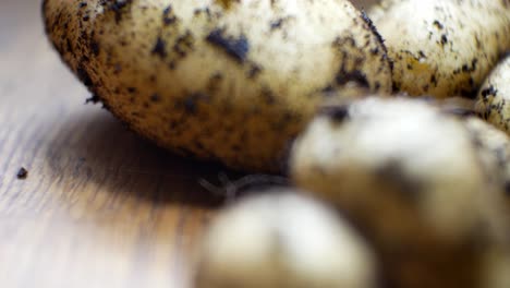Homegrown-organic-potatoes-shallow-focus-covered-in-soil-on-wooden-kitchen-surface-right-dolly-closeup