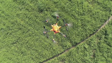 Top-down-aerial-view-of-an-orange-drone-against-green-grass-flying-across-the-frame
