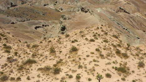 Blick-Hinunter-Auf-Die-Trockenen-Buschbüsche-In-Der-Wüste,-Die-Die-Seite-Eines-Berges-Im-Regenbogenbecken-Bedecken