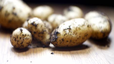 Homegrown-organic-potatoes-shallow-focus-covered-in-soil-on-wooden-kitchen-surface-left-pull-back-dolly