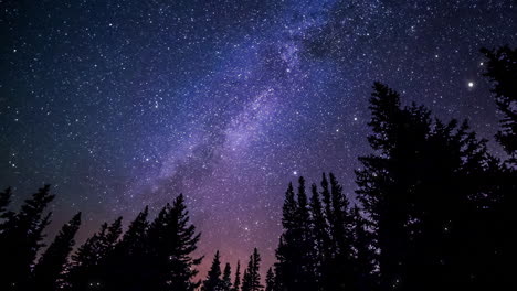 Video-of-dark-forest-with-galaxy-in-background