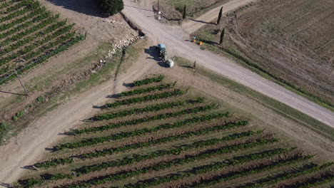 Agricultural-tractor-moving-between-green-vineyards,-Tuscany,-Italian-Chianti-countryside