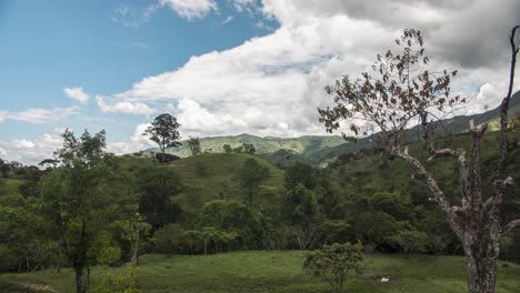 Tiro-De-Lapso-De-Tiempo-De-La-Naturaleza-Y-Las-Vacas-Caminando-Sobre-Un-Campo-De-Hierba-En-Guatape,-Colombia