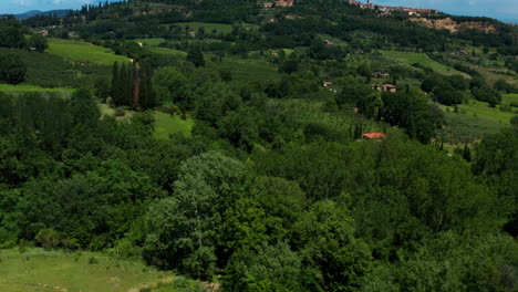 Vineyards-of-Tuscany,-Tilt-Reveal-Montepulciano-medieval-town