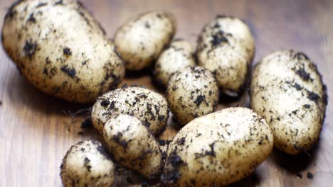 Selbst-Angebaute-Bio-Kartoffeln-Flacher-Fokus-Mit-Erde-Bedeckt-Auf-Hölzerner-Küchenfläche-Von-Oben-Nach-Unten-Rechts-Dolly