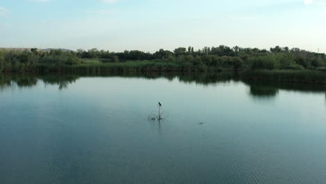 Aerial-dolly-in-shot-of-lake-in-Picón-de-los-Conejos-and-a-startled-bird