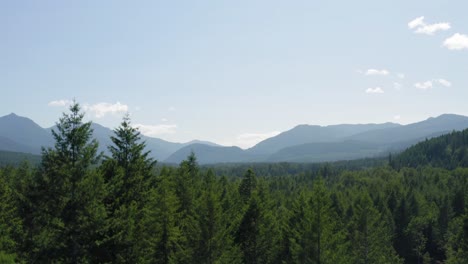 Drohne-Steigt-An-Den-üppigen-Grünen-Nadelbäumen-Im-Wald-Am-Cowlitz-River-Auf-Und-Bietet-Einen-Malerischen-Blick-Auf-Den-Mount-Rainier-Nationalpark-Und-Den-Hellen-Himmel-In-Packwood,-Washington,-USA