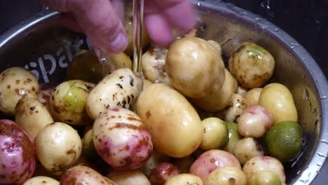 Washing-colourful-mixed-assortment-of-fresh-homegrown-potatoes-in-silver-kitchen-strainer