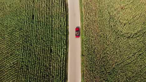 Top-down-Shot-Of-A-Red-Spyder-Car-Driving-On-The-Long-And-Winding-Road-With-Roof-Open-In-The-Netherlands-Under-The-Vibrant-Sunlight---aerial-drone