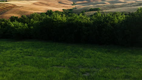 Felder-Der-Toskana,-Vorwärts-Geneigter-Schuss,-Der-Die-Landschaft-Enthüllt