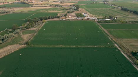 Farm-Land-Plot-in-Agricultural-Environment---Community-in-Payson,-Utah---Aerial-Drone