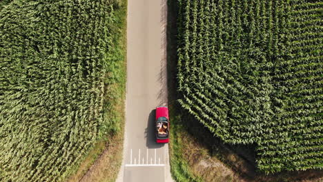 Red-Vintage-Convertible-Car-Parked-On-The-Empty-Road-By-The-Lush-Green-Corn-Fields-Swaying-In-The-Wind-In-Zwolle,-Netherlands