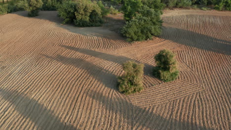 Agriculture---Plowed-Farmland-Patterns-in-Dirt-Field,-Aerial-Drone-Reveal