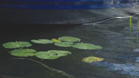 Floating-Green-Lily-Pods-Beside-A-Small-Blue-Boat-Docked-At-The-Pond---Low-Level-Shot