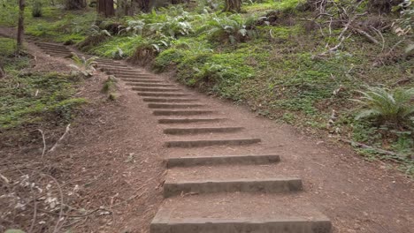 Walking-Up-Stairs-in-Muir-Woods-National-Monument,-Smooth,-Wide-Angle,-First-Person-POV