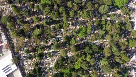 Scenic-aerial-flight-directly-above-densely-packed-cemetery-graveyard-near-San-Antonia-neighborhood-on-sunny-day,-Mexico-city,-overhead-aerial-approach