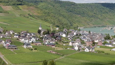Eine-Malerische-Landschaft-Mit-üppig-Grünen-Weinbergen-Und-Einem-Dorf-An-Der-Mosel,-Deutschland