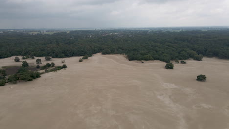 Aerial-overview-of-beautiful-sand-dunes-near-the-edge-of-forest