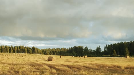 Hay-rolls-in-field-time-lapse-in-sunny-autumn-day