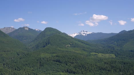 Atemberaubende-Landschaft-Des-Grünen-Waldes-Bei-Gifford-Pinchot-Mit-Dem-Mount-Rainier-National-Park-Im-Hintergrund-Unter-Dem-Strahlend-Blauen-Himmel-In-Washington,-Usa