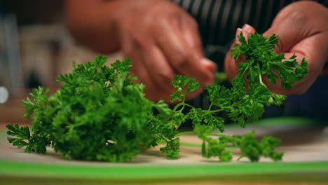 Gathering-clean,-fresh-parsley-in-one-hand-so-it-can-be-chopped-to-add-to-a-homemade-recipe---slow-motion