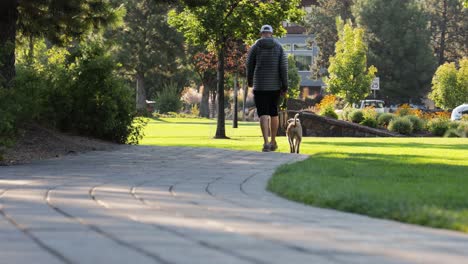 A-man-walks-alone-with-his-dog-through-a-vibrant-city-park-in-4k