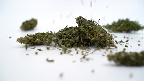Tropfen-Von-Samen-Auf-Cannabisknospen-Auf-Weißem-Hintergrund-Zeitlupe-100-Fps