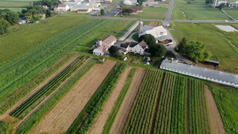 Aerial-orbit-of-Amish-family-farm-in-United-States-of-America,-rural-farmland-and-rows-of-vegetable-crops-in-Lancaster-County-Pennsylvania