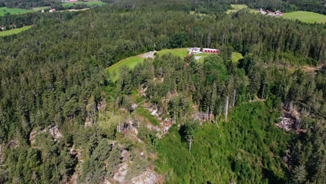 Luftdrohnenflug-über-Kiefernwald-Auf-Einem-Hügel-Bei-Tageslicht