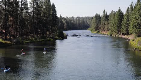 Tilt-up-reveal-of-paddle-boarders-on-a-large-river-surrounded-by-forest