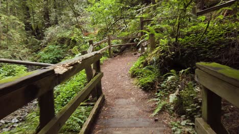Überquerung-Einer-Künstlichen-Holzbrücke-In-Einem-Waldgebiet