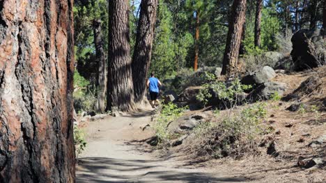 Männlicher-Jogger-Macht-Einen-Trailrun-Durch-Bäume